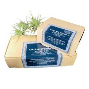 Caja Misteriosa 3 Joyas de Plata 925 más Regalos